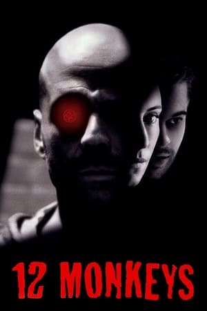 12 Monkeys (1995) Hindi Dual Audio | Hindi Dubbed Movie BluRay [1GB]