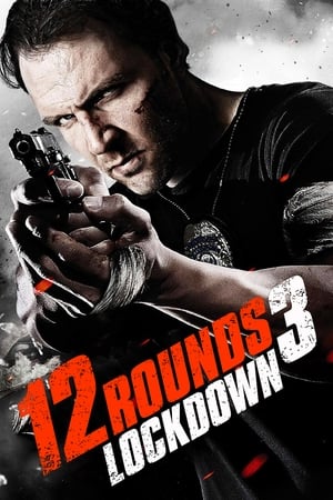12 Rounds 3 Lockdown 2015 Hindi Dual Audio | Hindi Dubbed Movie BluRay 300MB