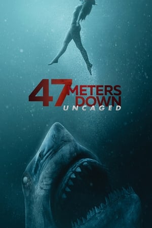47 Meters Down: Uncaged (2019) Hindi Dual Audio | Hindi Dubbed Movie BluRay 400MB