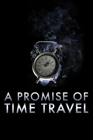 A Promise of Time Travel 2016 Hindi Dual Audio | Hindi Dubbed Movie Web-DL [750MB]