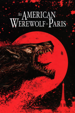 An American Werewolf in Paris 1997 Hindi Dual Audio | Hindi Dubbed Movie BluRay [860MB]