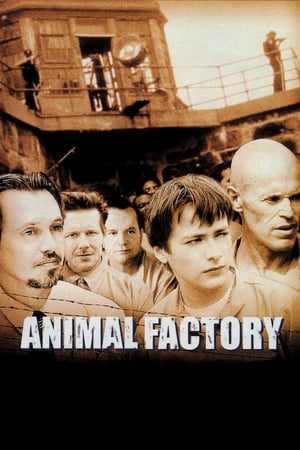 Animal Factory (2000) Hindi Dual Audio | Hindi Dubbed Movie BluRay [950MB]