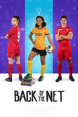 Back of the Net (2019) Hindi Dual Audio | Hindi Dubbed Movie Web-DL [800MB]