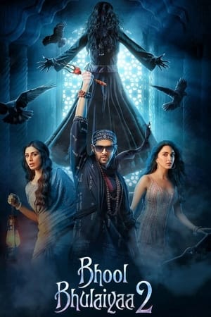 Bhool Bhulaiyaa 2 2022 Hindi Movie Web-DL | Hindi Dubbed Movie – 480p
