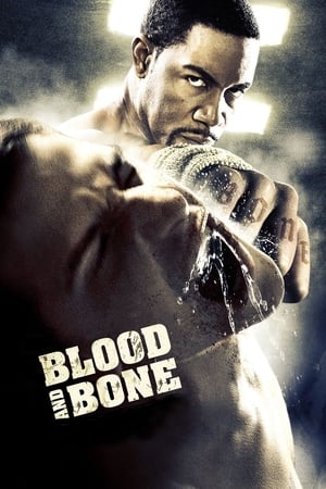 Blood and Bone (2009) Hindi Dual Audio | Hindi Dubbed Movie BluRay [950MB]