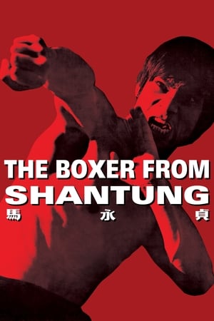 Boxer from Shantung (1972) Hindi Dual Audio | Hindi Dubbed Movie BluRay [1.2GB]