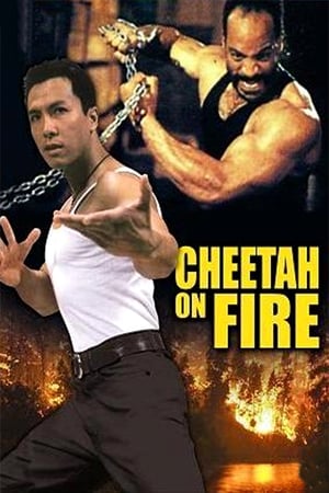 Cheetah on Fire 1992 Hindi Dual Audio | Hindi Dubbed Movie Web-DL 290MB