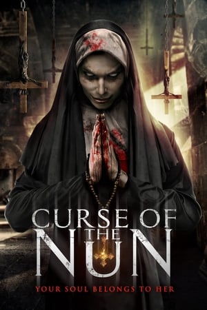 Curse of the Nun (2019) Hindi Dual Audio | Hindi Dubbed Movie BluRay [800MB]