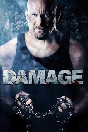 Damage 2009 Hindi Dual Audio | Hindi Dubbed Movie BluRay 330MB