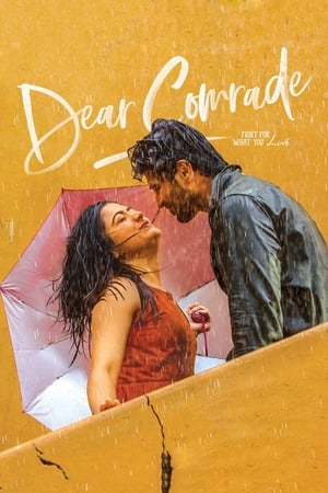 Dear Comrade 2019 (Hindi - Telugu) Dual Audio | Hindi Dubbed Movie UnCut HDRip 450MB