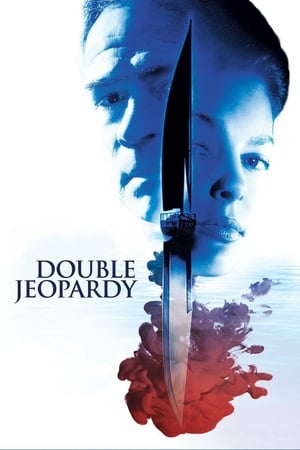 Double Jeopardy 1999 Hindi Dual Audio | Hindi Dubbed Movie Web-DL [920MB]