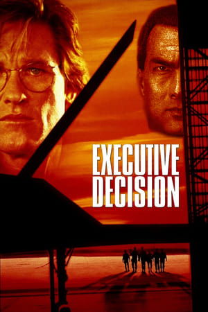 Executive Decision (1996) Hindi Dual Audio | Hindi Dubbed Movie BluRay 400MB