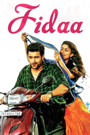 Fidaa 2017 [Hindi - Telugu] Dual Audio | Hindi Dubbed Movie Uncut HDRip 450MB