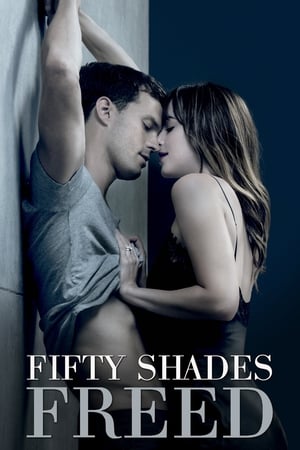 Fifty Shades Freed (2018) Hindi Dual Audio | Hindi Dubbed Movie BluRay [1GB]