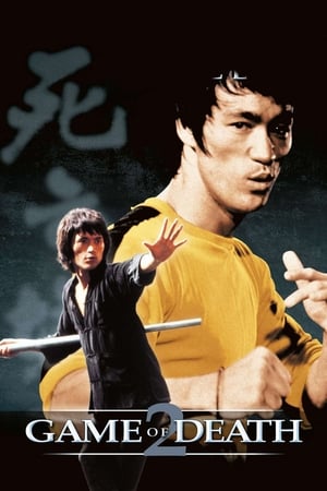 Game of Death II (1981) Dual Audio Hindi Movie | Hindi Dubbed Movie BluRay - 1.1GB