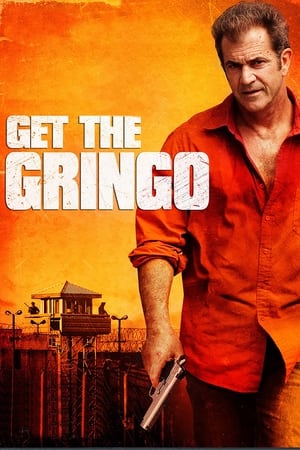 Get the Gringo (2012) Hindi Dual Audio | Hindi Dubbed Movie BluRay [850MB]