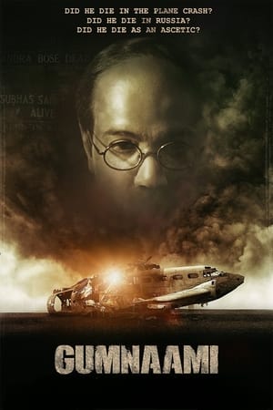 Gumnaami (2019) Hindi Movie | Hindi Dubbed Movie HDRip x264 [1GB]