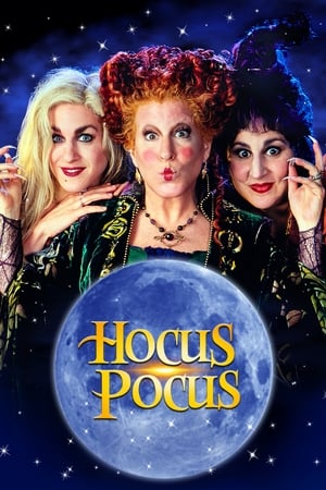 Hocus Pocus 1993 Hindi Dual Audio | Hindi Dubbed Movie BluRay 320MB