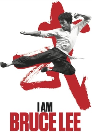 I Am Bruce Lee 2012 Hindi Dual Audio Bluray | Hindi Dubbed Movie [850MB] Download