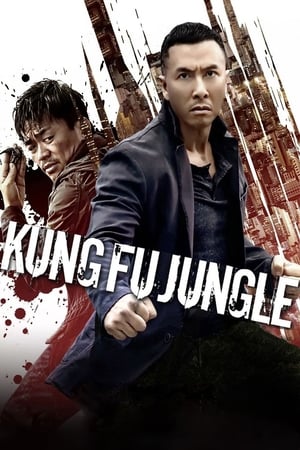 Kung Fu Jungle (2014) Hindi Dual Audio | Hindi Dubbed Movie BluRay [800MB]