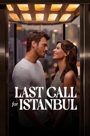 Last Call for Istanbul 2023 Hindi Dual Audio HDRip | Hindi Dubbed Movie – 480p