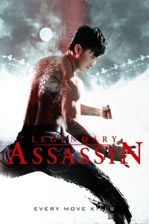 Legendary Assassin (2008) Hindi Dual Audio | Hindi Dubbed Movie BluRay [1GB]