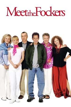 Meet the Fockers 2004 Hindi Dual Audio | Hindi Dubbed Movie BluRay [1GB]