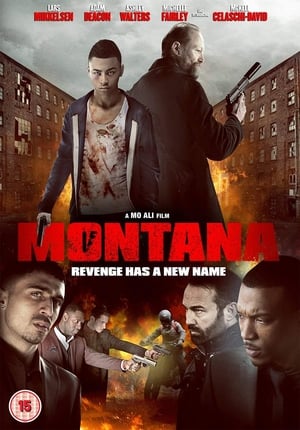 Montana (2014) Hindi Dual Audio | Hindi Dubbed Movie BluRay 350MB