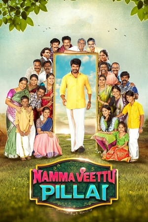 Namma Veettu Pillai (2019) (Hindi -Tamil) Dual Audio | Hindi Dubbed Movie UnCut HDRip [1.4GB]
