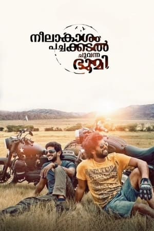 Neelakasham Pachakadal Chuvanna Bhoomi (2013) Hindi Dubbed | Hindi Dubbed Movie HDRip [1.4GB]