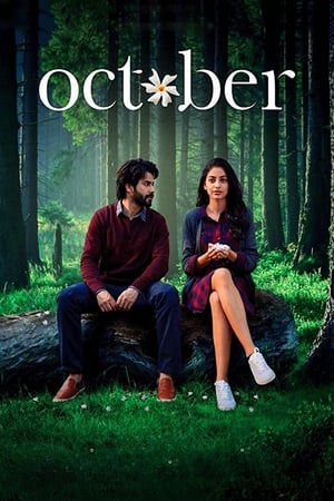 October (2018) Movie | Hindi Dubbed Movie BluRay x264 [900MB]