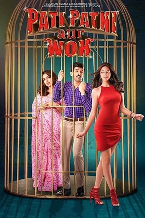 Pati Patni Aur Woh 2019 Hindi Movie | Hindi Dubbed Movie HDRip x264 [1.2GB]