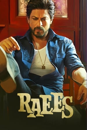 Raees (2017) 400MB Full Movie | Hindi Dubbed Movie DVDRip Download