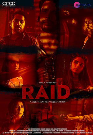 Raid 2019 Hindi Movie | Hindi Dubbed Movie HDRip - [250MB]