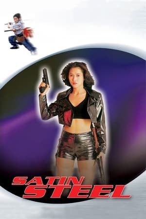 Satin Steel (1994) Hindi Dual Audio | Hindi Dubbed Movie Web-DL [700MB]