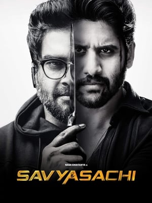Savyasachi (2018) Hindi Dual Audio | Hindi Dubbed Movie UnCut HDRip [1.2GB]