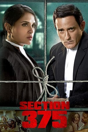 Section 375 (2019) Hindi Movie | Hindi Dubbed Movie HDRip - [360MB]
