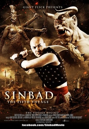 Sinbad: The Fifth Voyage (2014) Hindi Dual Audio | Hindi Dubbed Movie BRRip [700MB]