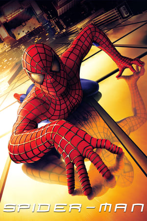 Spider Man (2002) Hindi Dual Audio Bluray | Hindi Dubbed Movie [800MB] Download