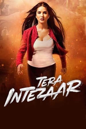 Tera Intezaar 2017 Movie | Hindi Dubbed Movie HDRip - [300MB]