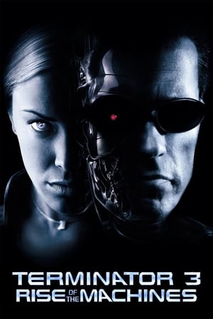 Terminator 3: Rise of the Machines (2003) Hindi Dual Audio | Hindi Dubbed Movie BluRay [850MB]