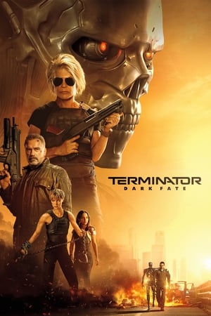 Terminator: Dark Fate (2019) Hindi (Org) Dual Audio | Hindi Dubbed Movie BluRay [1GB]