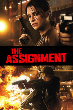 The Assignment (2016) Hindi Dual Audio | Hindi Dubbed Movie BluRay 300MB