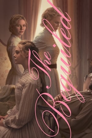 The Beguiled (2017) Hindi Dual Audio | Hindi Dubbed Movie BluRay [780MB]