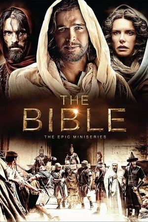 The Bible 2013 S01E05 (Hindi) Dubbed | Hindi Dubbed Movie BRRip [250MB]