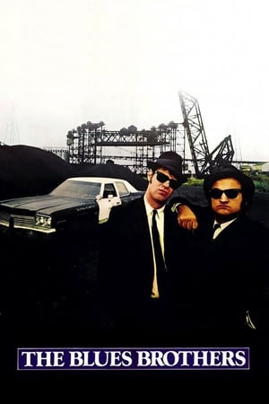 The Blues Brothers (1980) Hindi Dual Audio | Hindi Dubbed Movie BluRay [3.3GB]