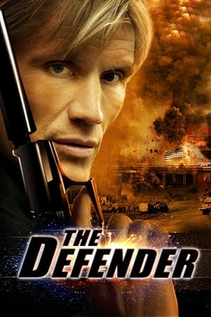 The Defender (2004) Hindi Dual Audio | Hindi Dubbed Movie BluRay [1.2GB]