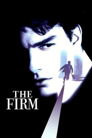 The Firm (1993) Hindi Dual Audio | Hindi Dubbed Movie BluRay [980MB]