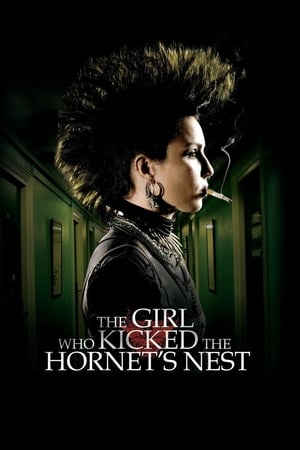 The Girl Who Kicked the Hornet's Nest (2009) Hindi Dual Audio | Hindi Dubbed Movie BluRay 450MB
