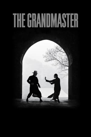 The Grandmaster (2013) Hindi Dual Audio | Hindi Dubbed Movie BluRay 350MB ESubs